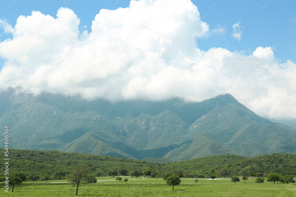 Obraz premium Picturesque view of mountains and green meadow