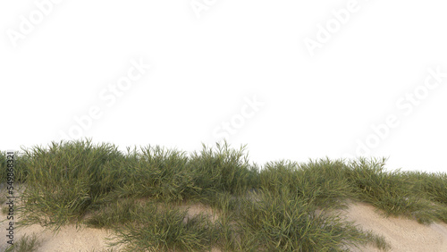 sand dunes and grass