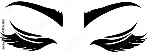 Eyes closed with long, black eyelashes. False eyelashes. Silhouette of eye lashes and eyebrow