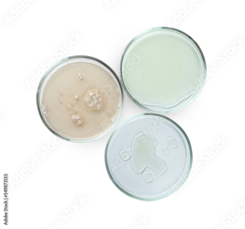 Petri dishes with different liquids on white background, top view