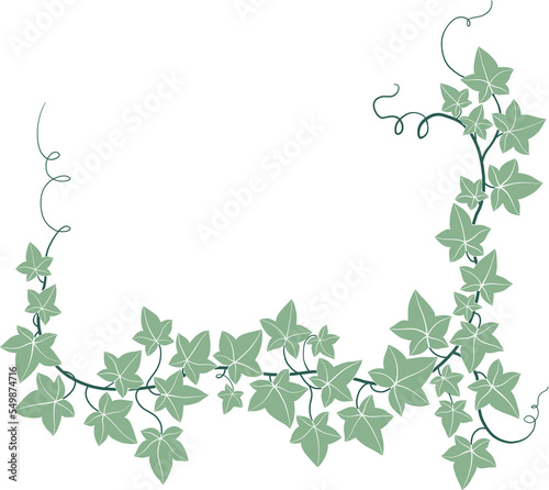 Simplicity ivy freehand drawing