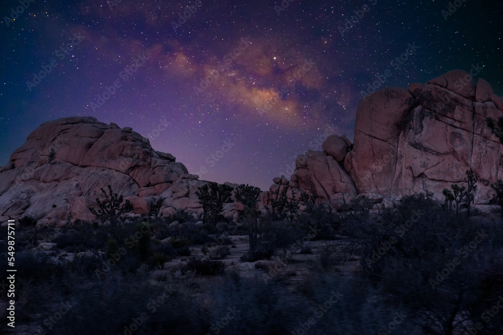 Starry sky and milky way galaxy at night in Joshua Tree National Park Mojave, California, USA
