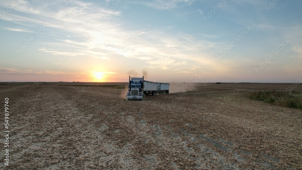 Fototapeta premium combine harvester working on the field