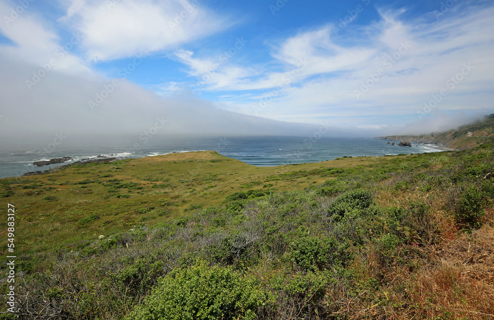 Panorama on Pacific - California