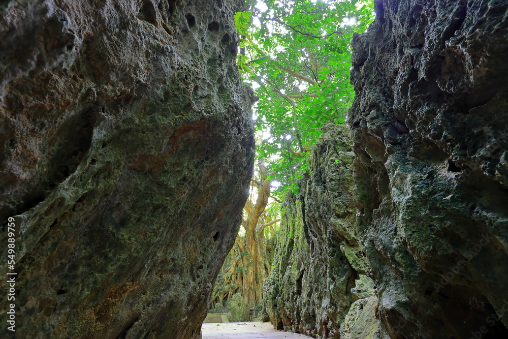 Kenting National Forest Recreation Area in Hengchun Township, Pingtung County, Taiwan