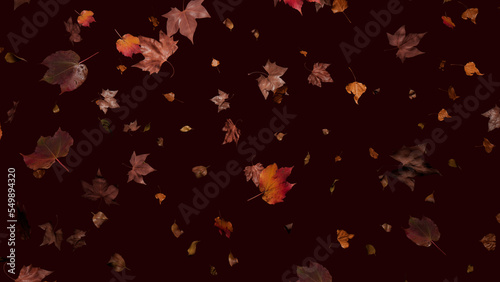 Fall themed Background, with Leaves against Deep Plum Red Color. Seasonal Banner with copy-space.