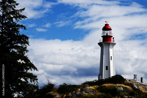 Lighthouse Park in West Vancouver