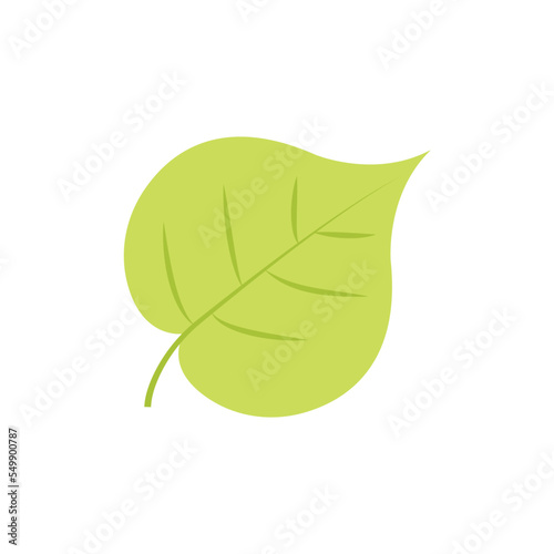 Cartoon Green Leaf Fresh Organic Plant. Vector Hand Drawn Illustration isolated on a white background. vector in flat design. 