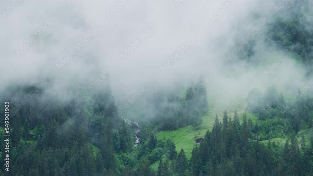 Foggy forest in the Swiss Alps Foggy forest in the Swiss Alps