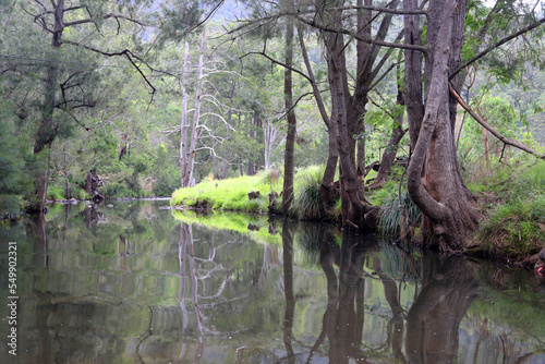 Beautiful scenery along the Condamine River Road near Killarney, Queensland.  Featuring mountains, forest, trees and river