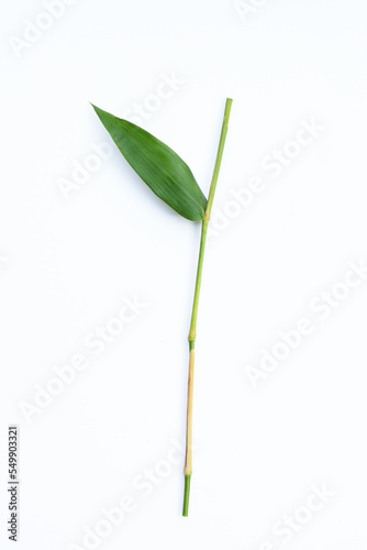Bamboo leaf on white background. © Bowonpat