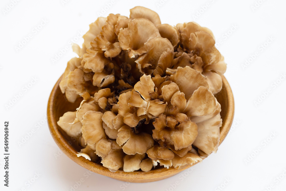 Maitake (Grifola frondose) mushroom on white background Maitake (Grifola frondose) mushroom on white background