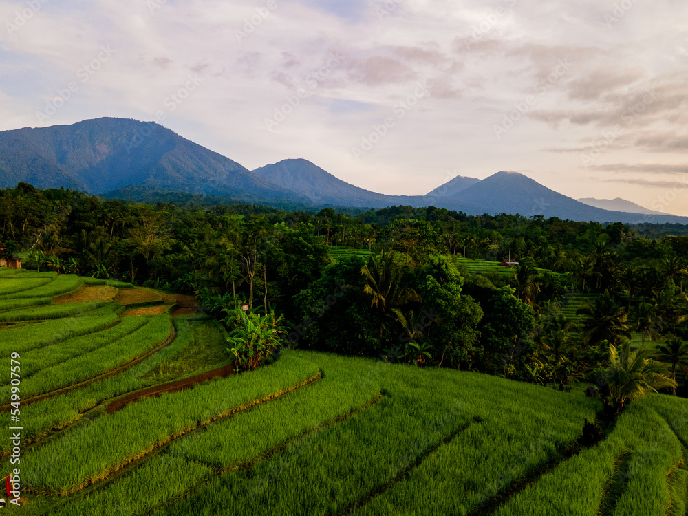 Rice terraces view with Volcano Bali three