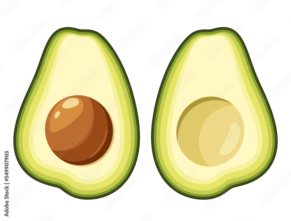 Two halves of avocado on a white background. Vector illustration.
Two halves of avocado on a white background. Vector illustration.