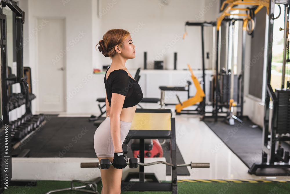 Fototapeta premium A slender young woman holding 2 hex dumbbells at the gym. Preparing to do a set of dumbbell squats at the gym.