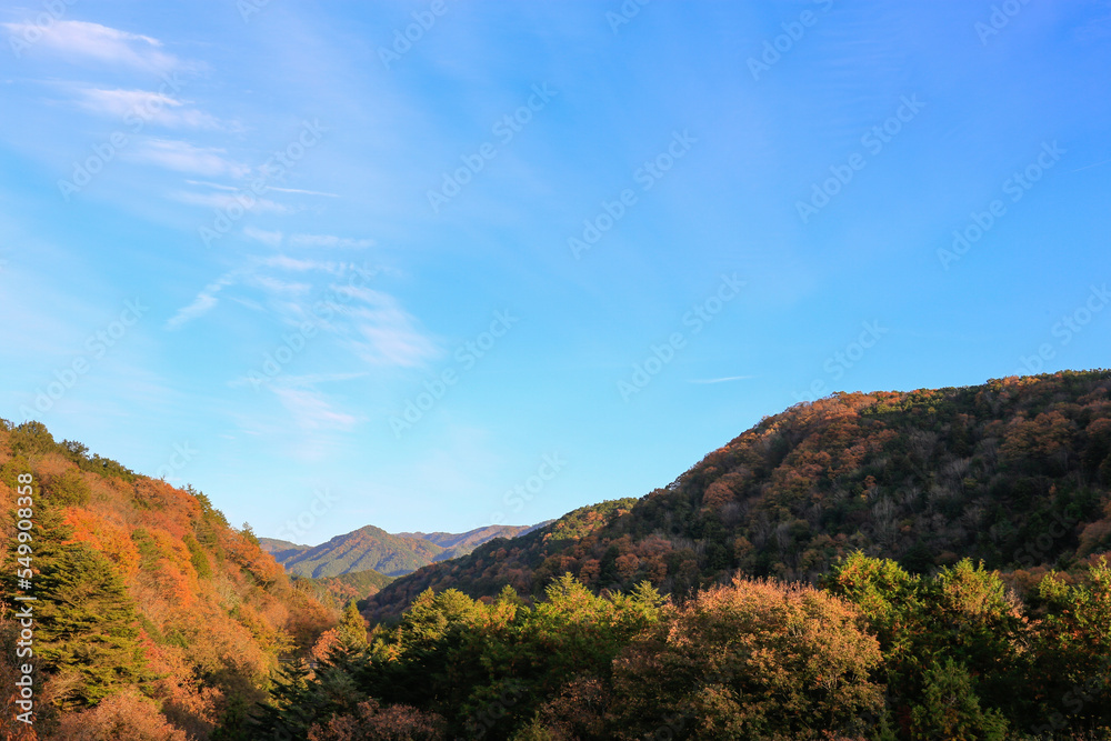 美しい紅葉と山々
