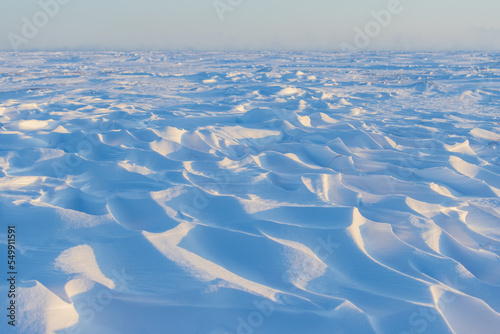Snow-covered tundra. Winter arctic landscape. Cold frosty weather. On the surface of the snow, there are sastrugi (patterns formed by erosion of snow by wind). The harsh climate of the polar region.
