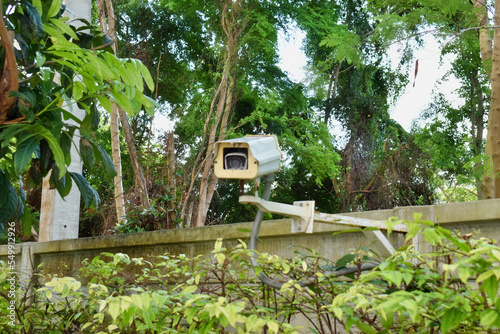 CCTV w krzakach w lesie