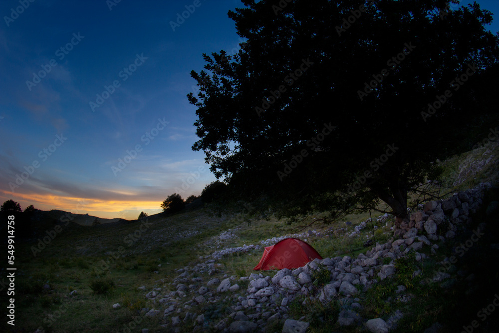 camping with orange tent, hiker and tree at sunset in mountain