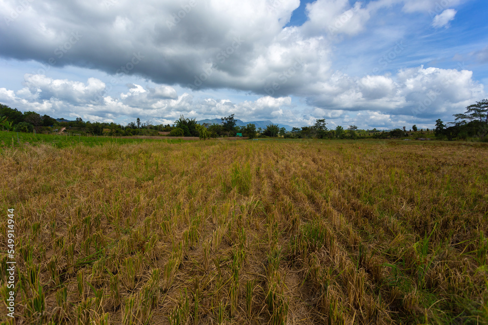 The agricultural area on the plateau.