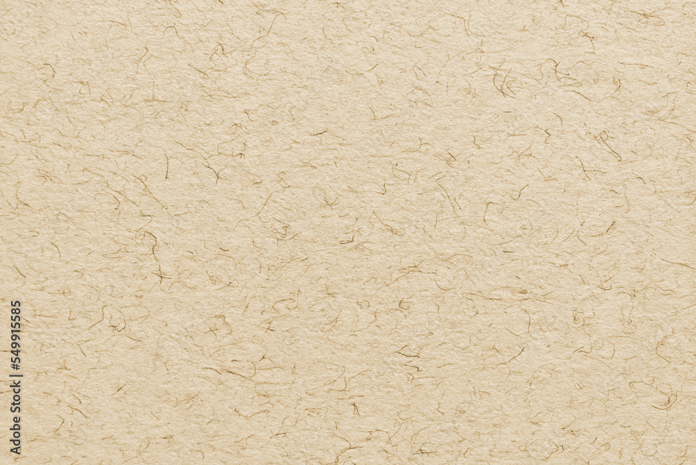 A sheet of brown decorative fibrous cardboard texture as background
A sheet of brown decorative fibrous cardboard texture as background