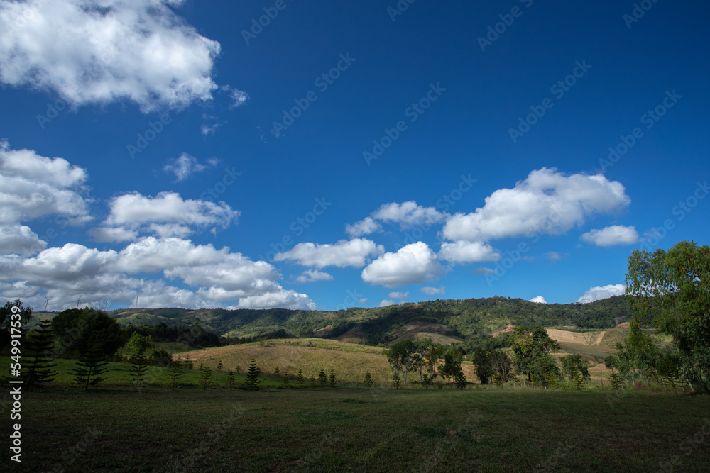 Green meadows with blue sky and clouds background..Landscape view of green grass on a slope with blue sky and clouds background.