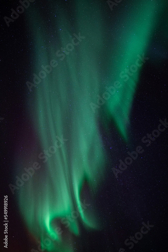 blue and green aurora borealis in the starry night sky © Dusan