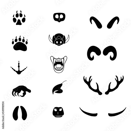 Collection оf different wild animals' horns, footprints, beaks, noses