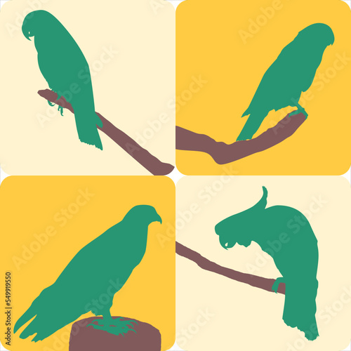 set of birds in different colors