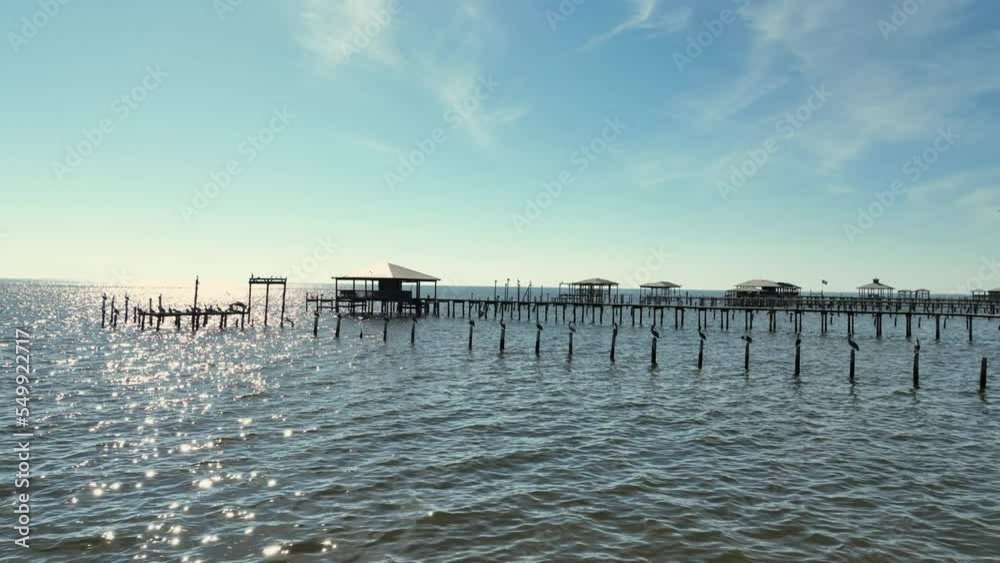 Pelicans perched near Mary Ann Nelson Park in Fairhope, Alabama Pelicans perched near Mary Ann Nelson Park in Fairhope, Alabama