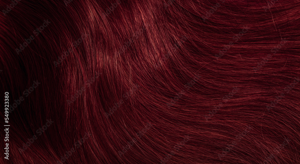 Naklejka premium Dark red hair close-up as a background. Women's long brown hair. Beautifully styled wavy shiny curls. Coloring hair with bright shades. Hairdressing procedures, extension.