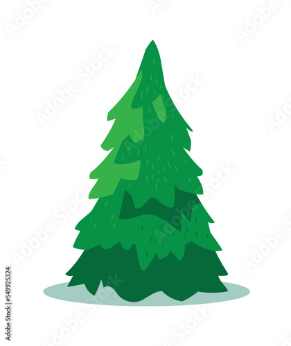 Christmas tree. Green coniferous tree. Vector image.