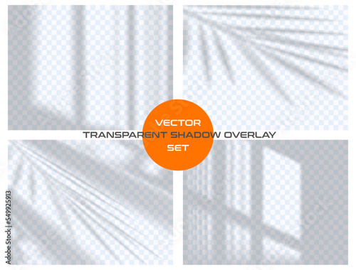 Semitransparent shadow overlay effect from the window isolated on transparent background. Realistic vector set. Abstract silhouette soft blurry shadow of leaves tree branch on wall. Sun light shade