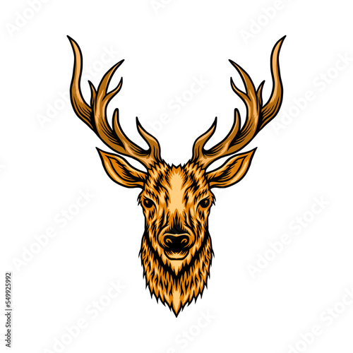 head of a deer head
