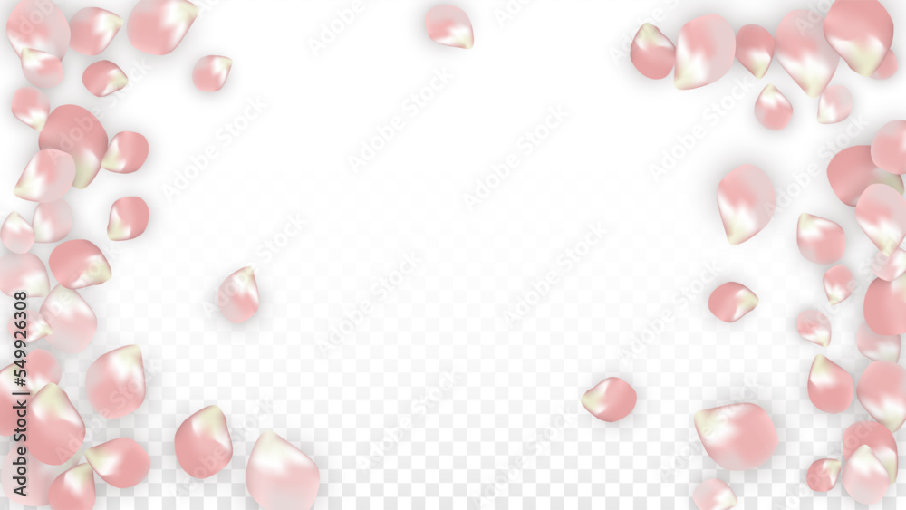Pink Vector Realistic Petals Falling on Transparent Background.  Spring Romantic Flowers Illustration. Flying Petals. Sakura Spa Design. Blossom Confetti. Design Elements for Wedding Decoration.