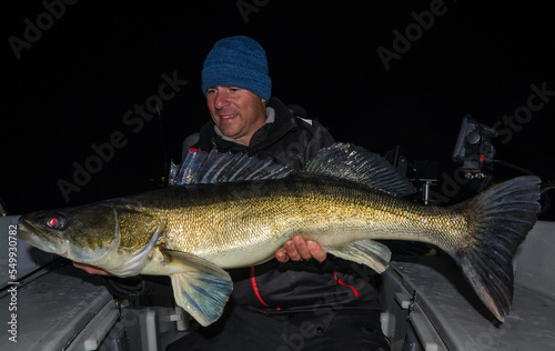 Monster zander from night fishing session