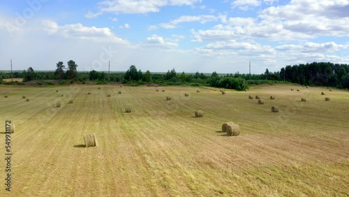 Agriculture field with dry hay rolls. Rural nature, farm landscape, agricultural farmfiels with yellow round circle hayrolls from drone photo