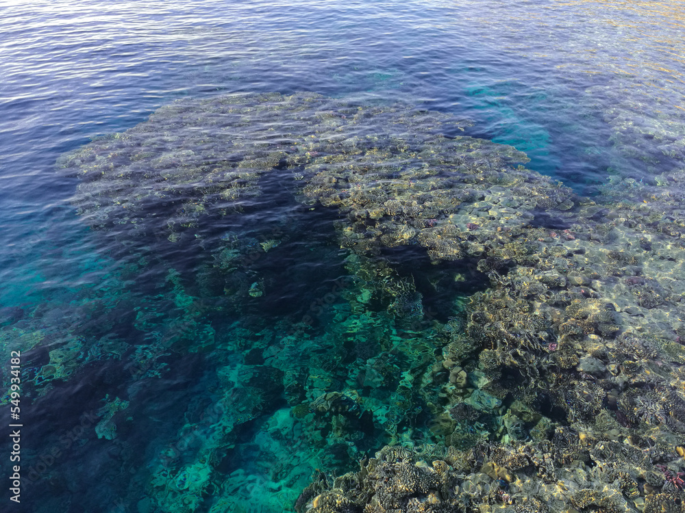 Fototapeta premium Red sea