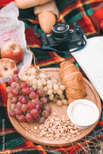 autumn picnic in nature with grapes