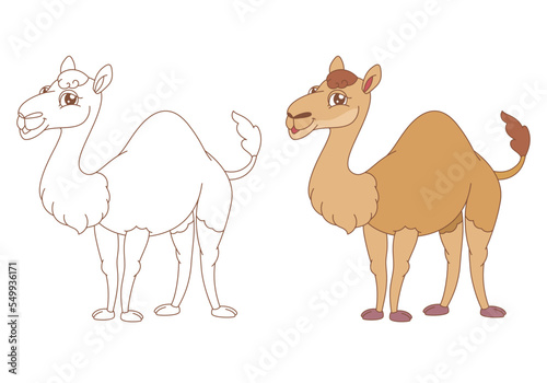 Children s coloring book with a funny camel character  black and white and colored version
