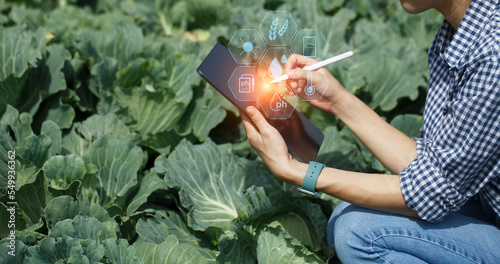 famers using digital tablet to connect network system. smart famers,	 photo