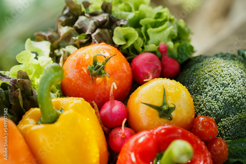 Vegetables and healthy fruits, Fresh vegetables. 