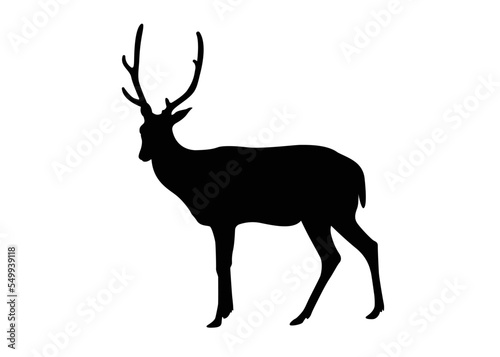 Silhouette Deer, Isolated on White Background. Deer Logo, Template, Illustration Vector.