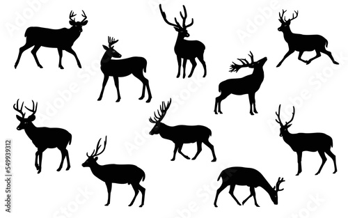 Collection of deer silhouettes - deer family. Deer in various poses. Male deer  vector illustration