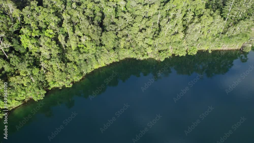 Green Tropical Rainforest In Lake Eacham, Atherton Tableland, Queensland, Australia - drone shot Green Tropical Rainforest In Lake Eacham, Atherton Tableland, Queensland, Australia - drone shot