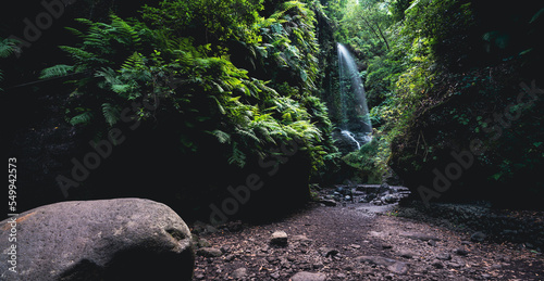 Billede på lærred Waterfall, boulder and ferns at the end of the narrow canyon in La Palma Island