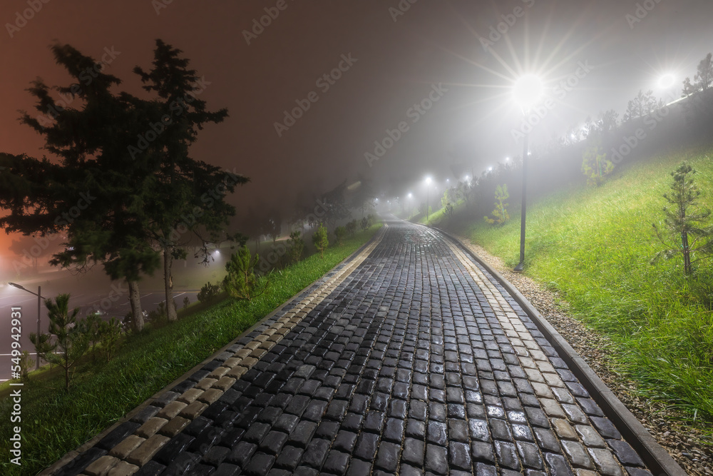 Fototapeta premium City park at night in fog