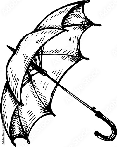sketch of an umbrella on white background.