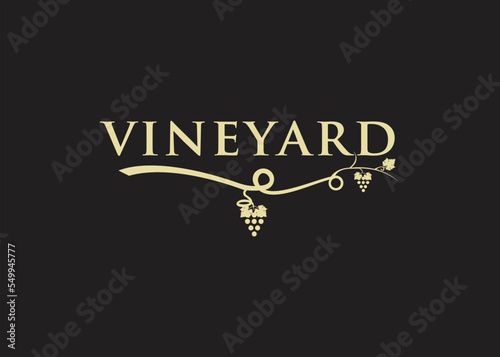 vineyard grape logo design wine