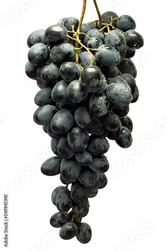 grapes isolated on white